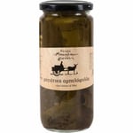 Barba Giannis Vine Leaves in Brine