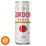 Gordon's Space Lemon & Ginseng 250ml