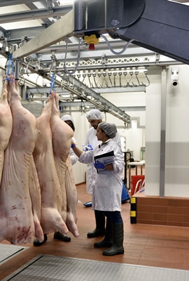 Greek Meat Processing Facilities for Greek Market